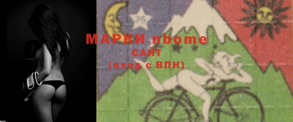 прущие грибы Костерёво