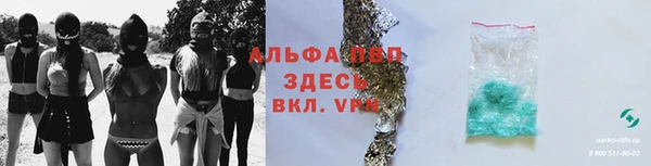 прущие грибы Костерёво