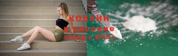прущие грибы Костерёво