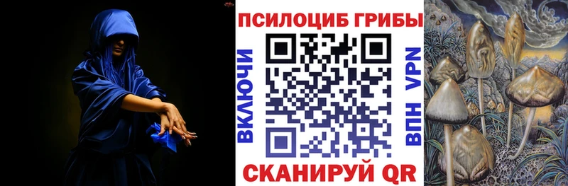 Галлюциногенные грибы Cubensis Купить закладки Ивангород